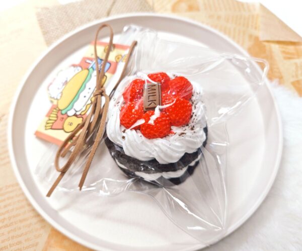 rasberries chocolade cake squishy