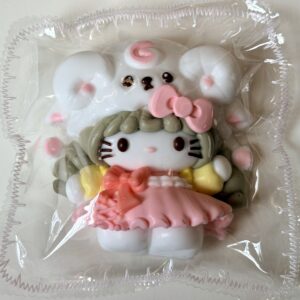 highly detailed HK 25