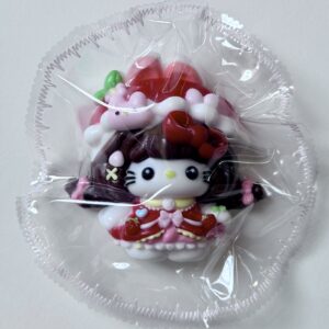 highly detailed HK 21